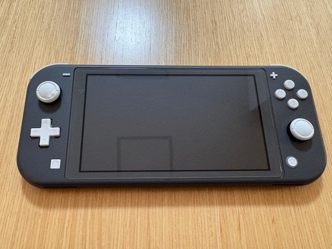 Nintendo Switch Lite グレー 本体 箱・充電器・ケース付