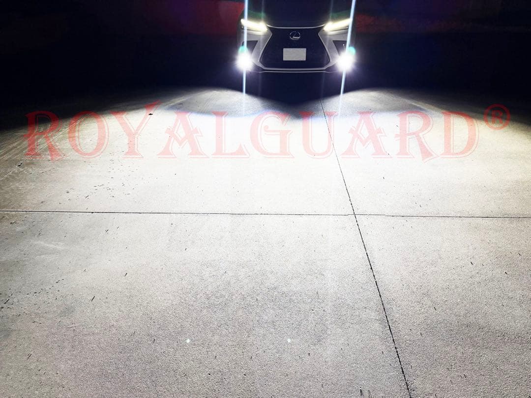 爆光世界一 L1b ホワイト LEDフォグ 実測15000LM ロイヤルガード