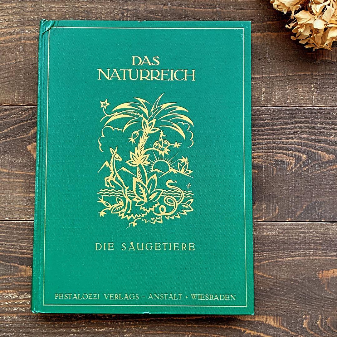 [雰囲気の動物達の絵]ドイツの古い哺乳類図鑑(1922年)/動物図鑑 雰囲気◎/