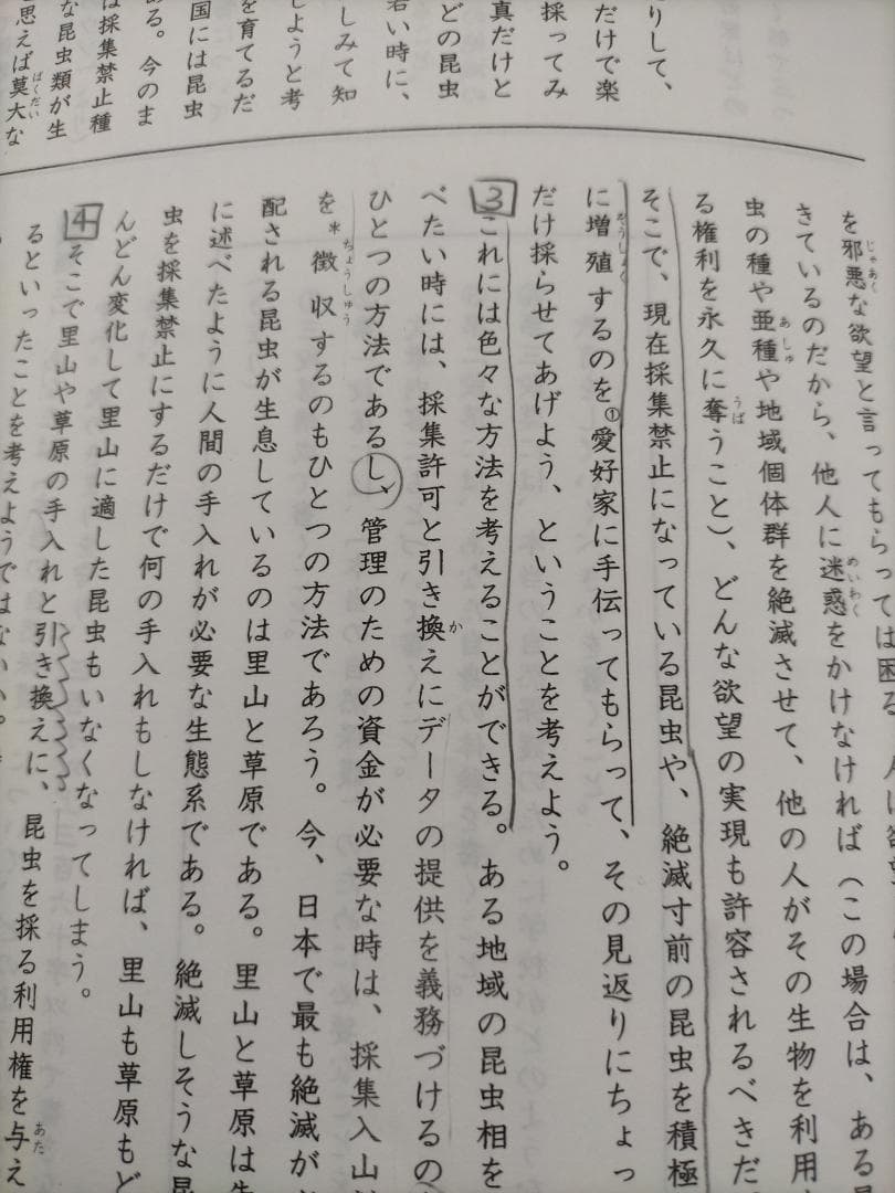 【★値引き】小6 ena 都立中前期日曜特訓 大泉高付属中コース 全12回解答付