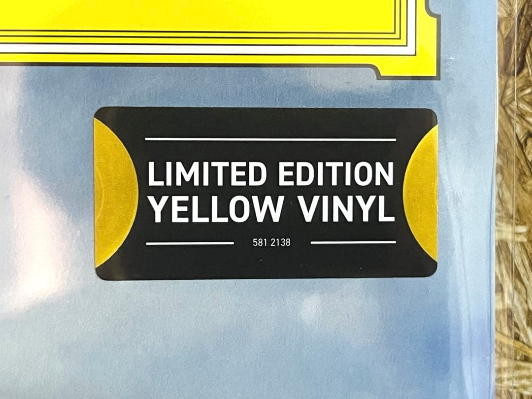 限定盤2LP A Symphonic Celebration 久石譲