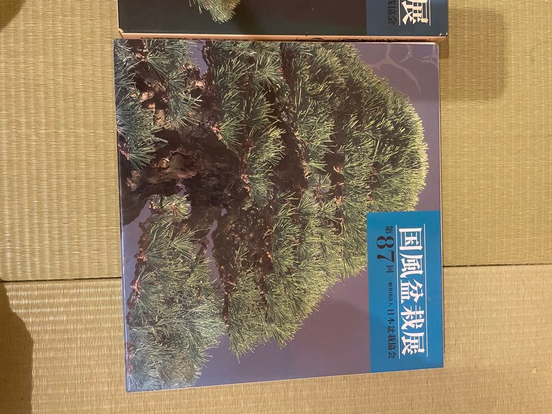 国風盆栽展 83, 64, 87 セット