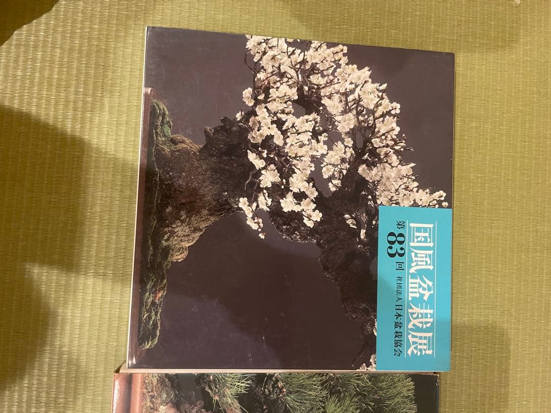 国風盆栽展 83, 64, 87 セット