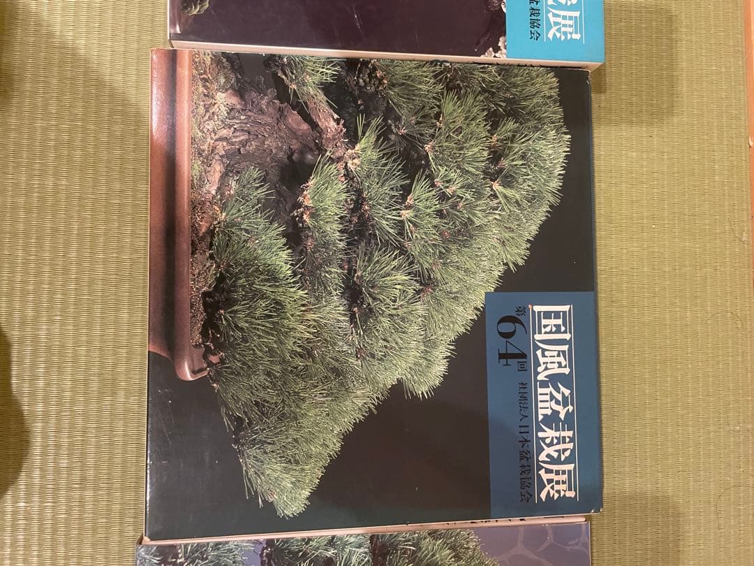 国風盆栽展 83, 64, 87 セット