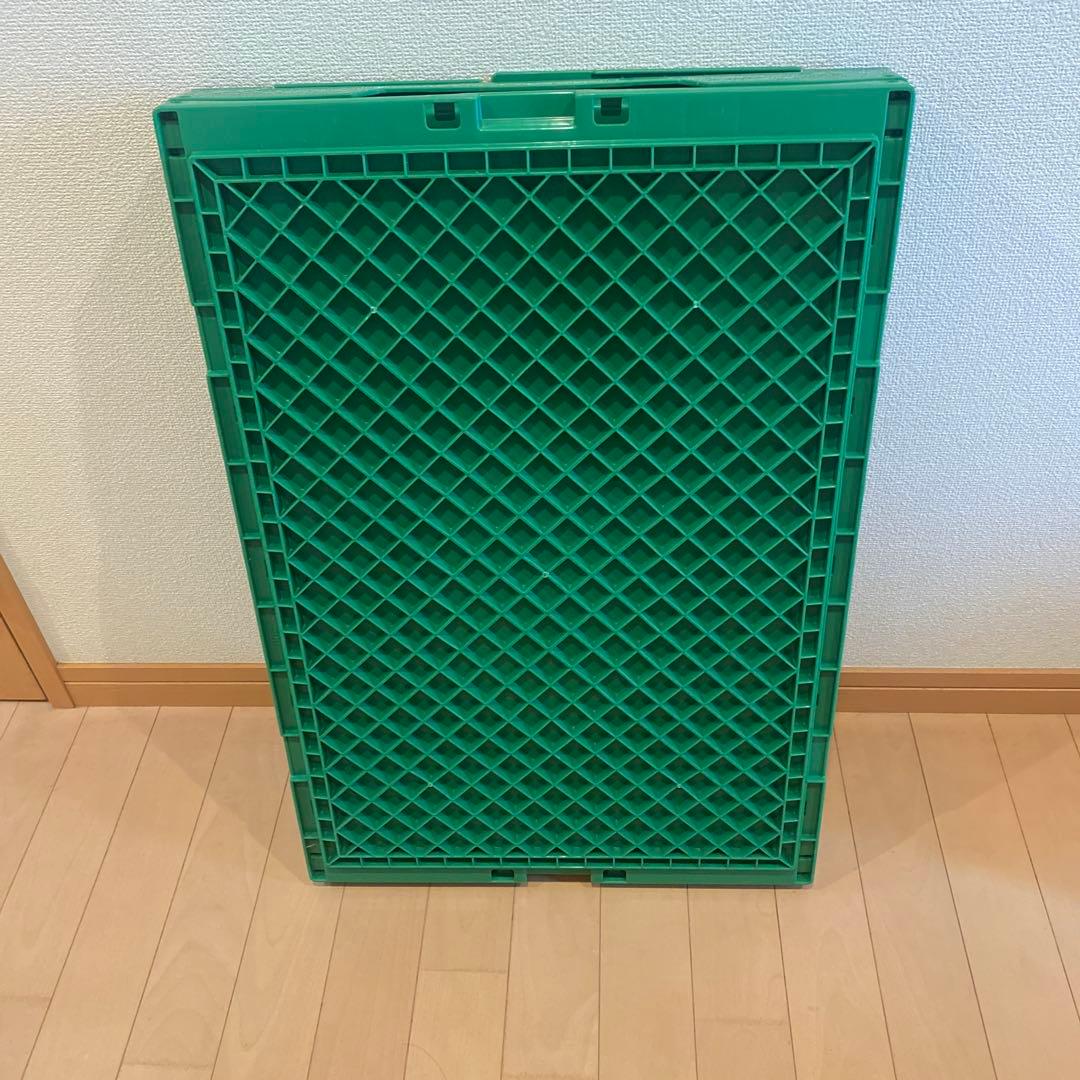 ヒューマンメイド 74L GREEN ロゴプリントコンテナ　限定　レアカラー