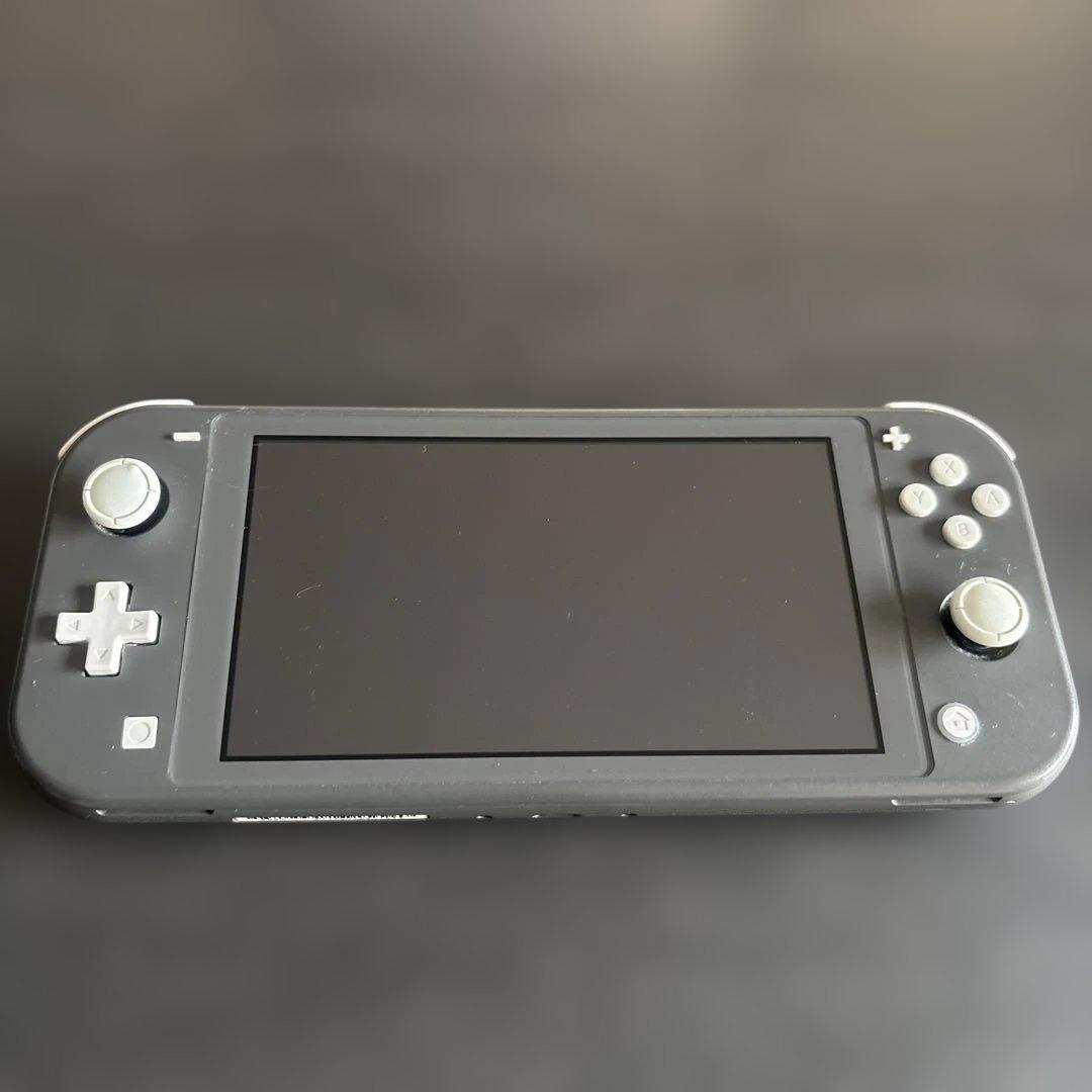 Nintendo Switch Lite 本体のみ ジャンク品