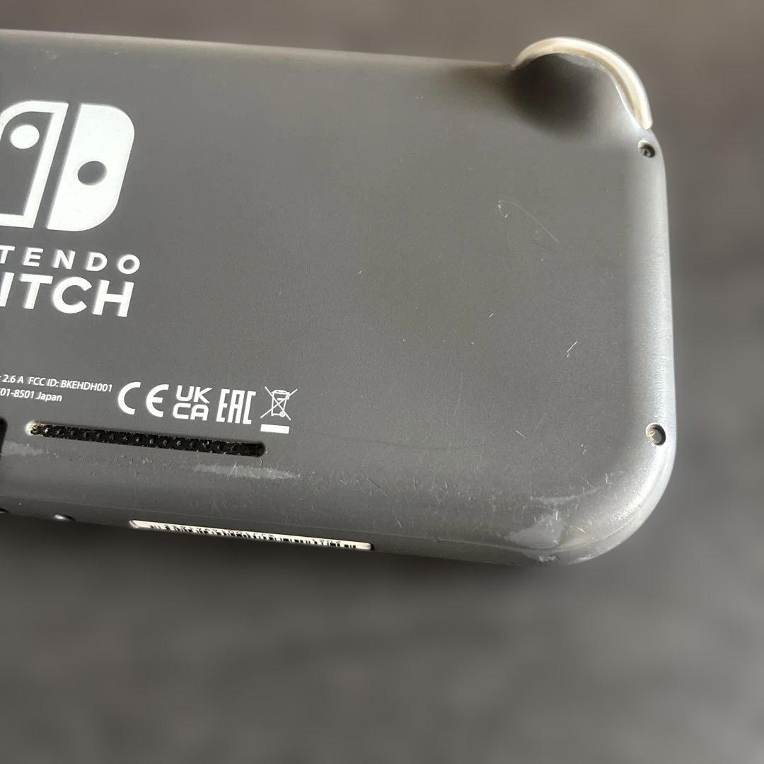 Nintendo Switch Lite 本体のみ ジャンク品