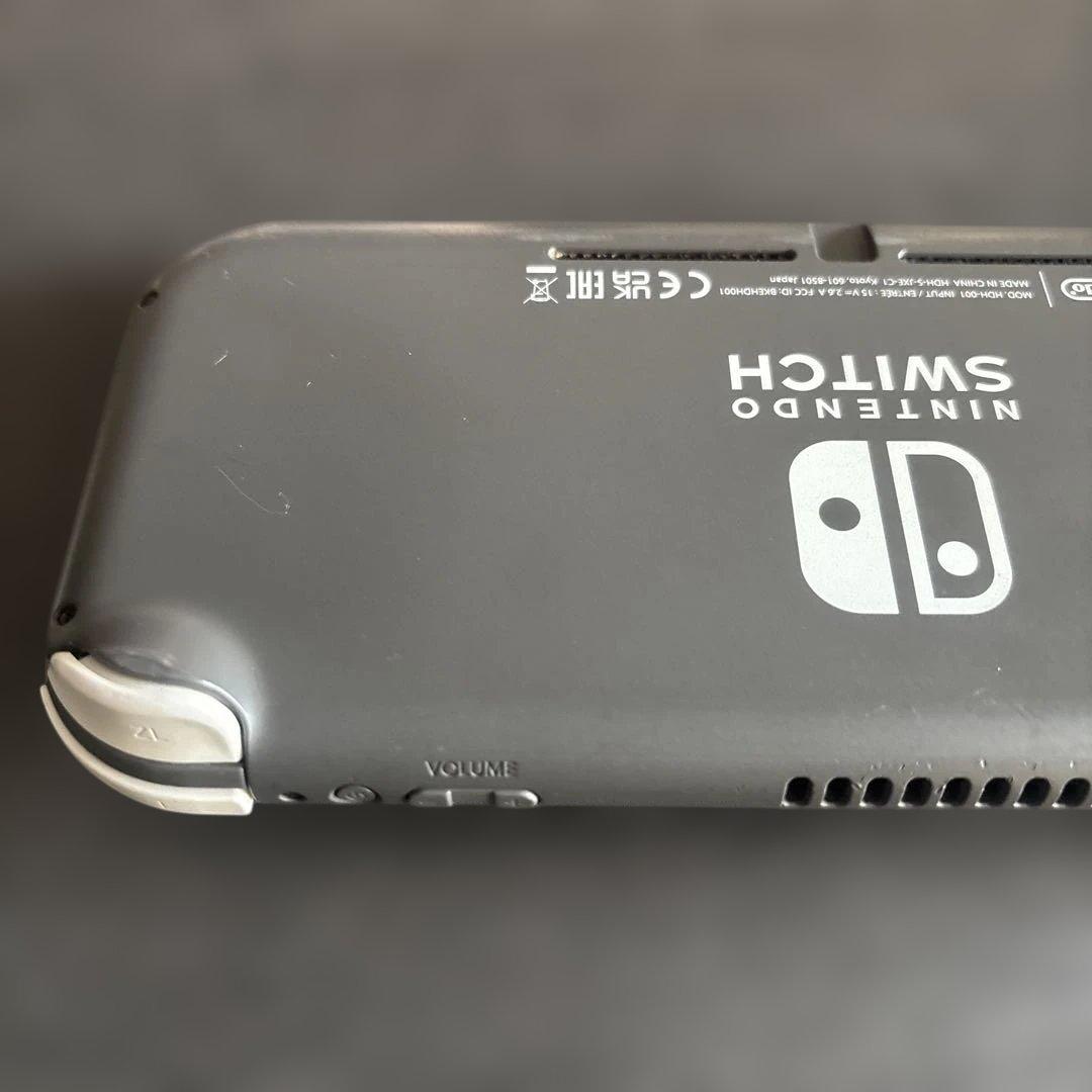 Nintendo Switch Lite 本体のみ ジャンク品