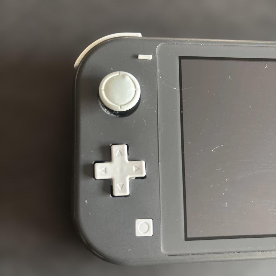 Nintendo Switch Lite 本体のみ ジャンク品