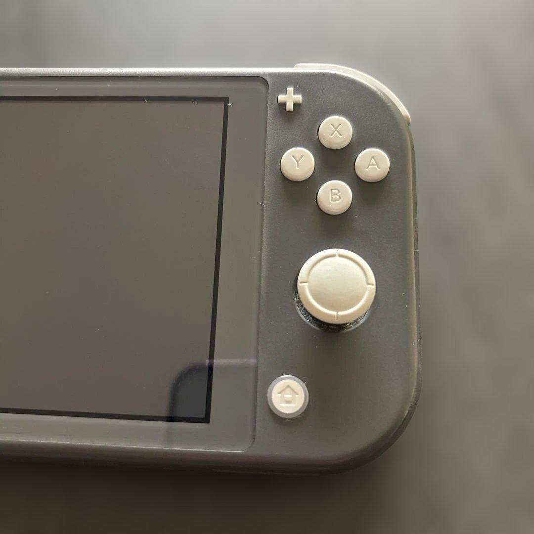 Nintendo Switch Lite 本体のみ ジャンク品