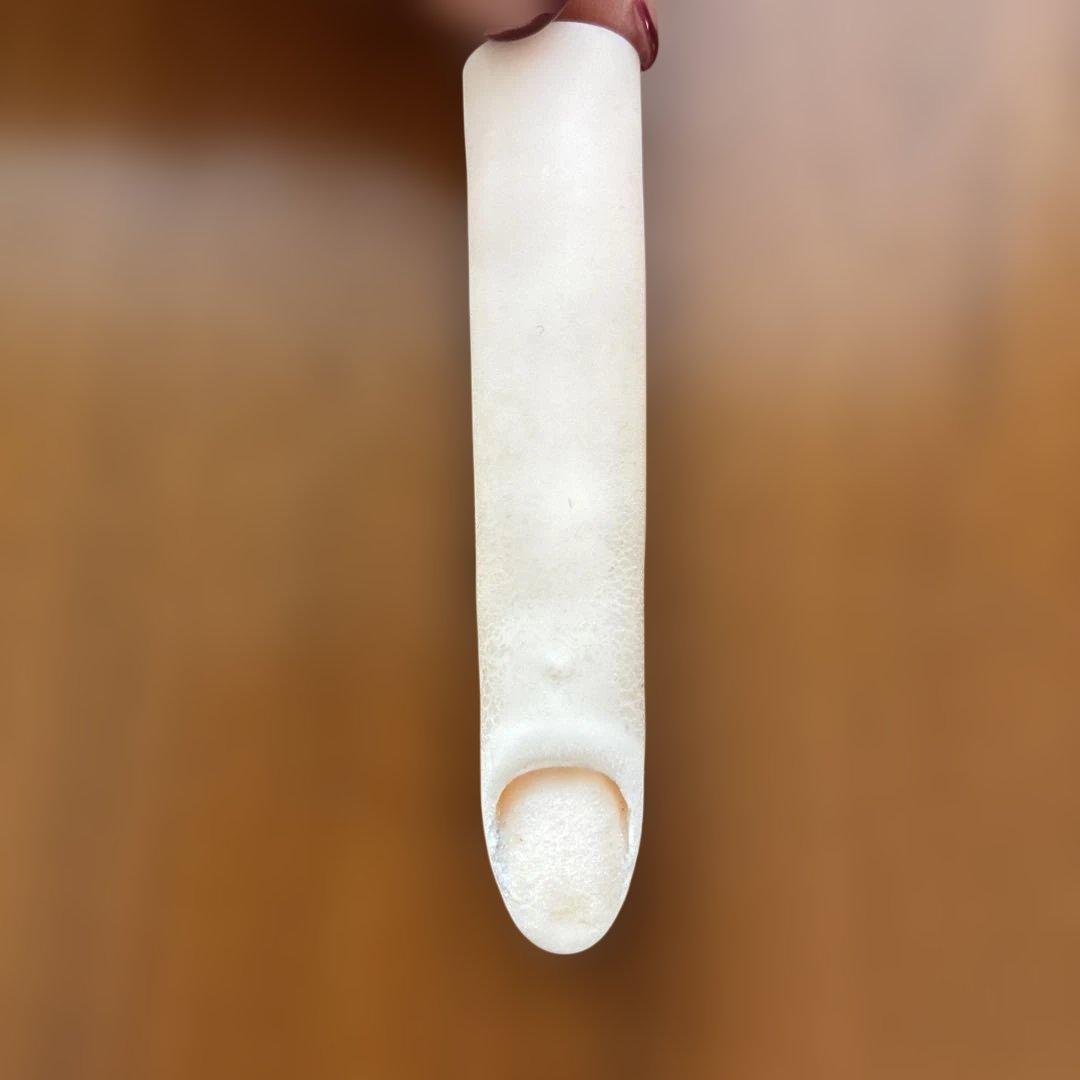 ネイリスト技能検定試験用JNEC認定モデルハンド チップ・シール付