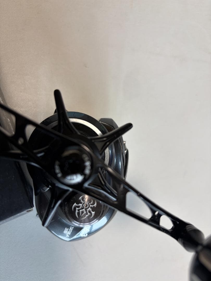 ダイワ　タトゥーラ TW 300L (2021年モデル)