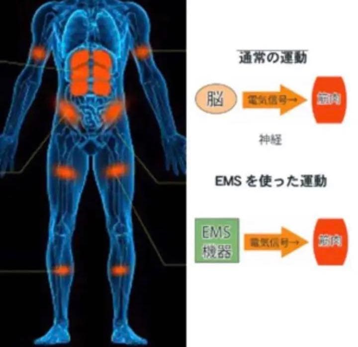 【❤最新最先端EMS❣8パットで圧倒的に効率よく鍛えられる♪❤】腹筋ベルト