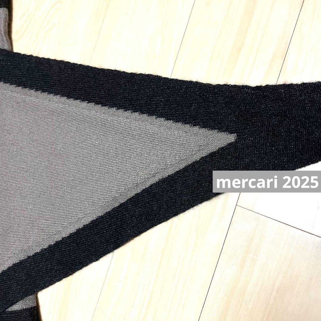 ansnam Stingray Scarf カシミヤ×シルク