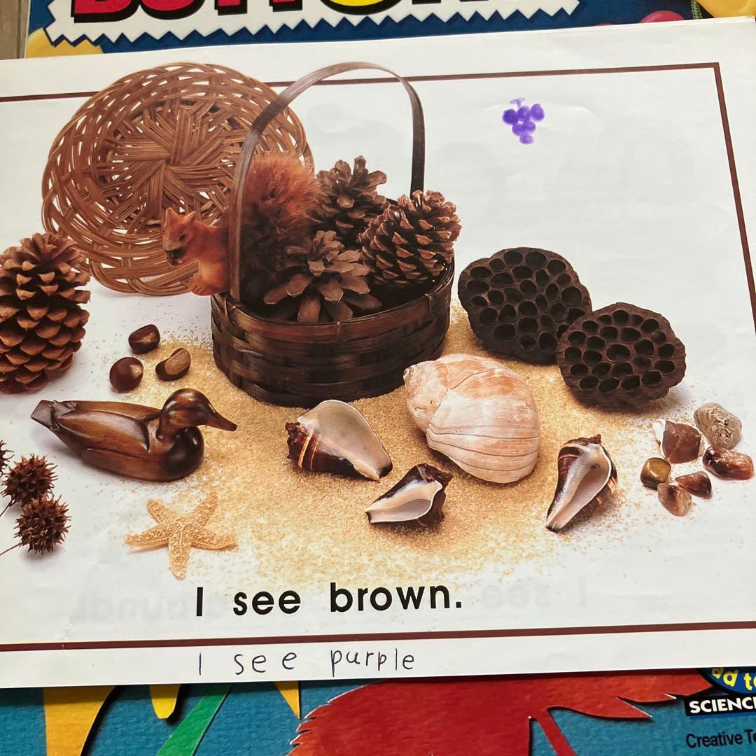 CTP 英語絵本とCDセット　２４冊+CD4枚