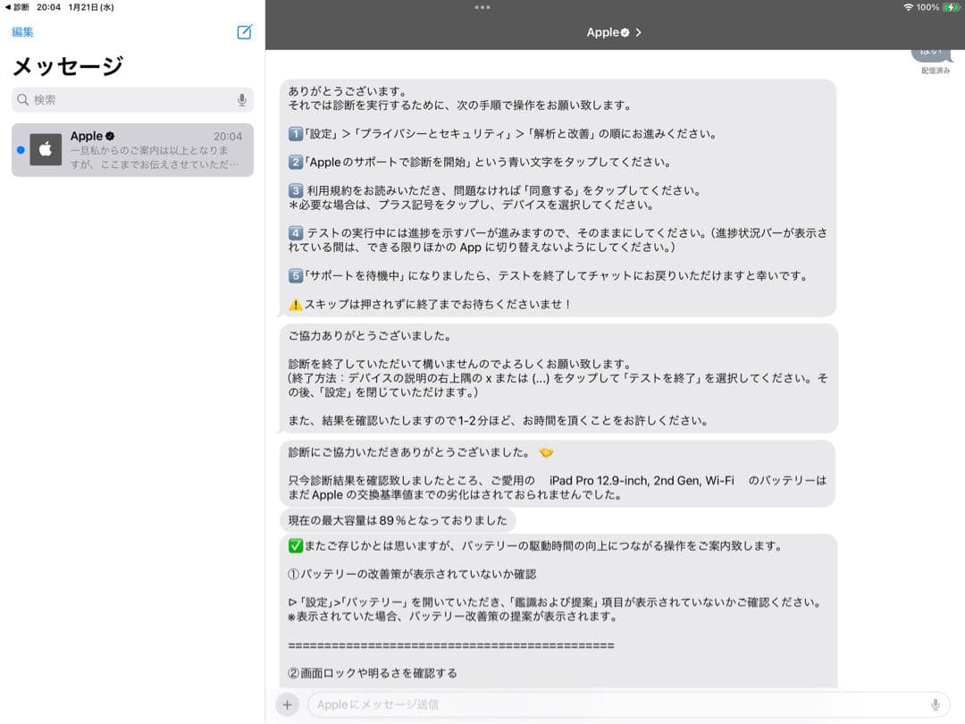 iPad Pro 12.9インチ 第2世代 Wi-Fi 64GBバッテリー89%