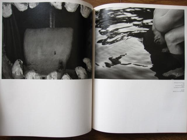 Anthology of a Decade, US　HEDI SLIMANE