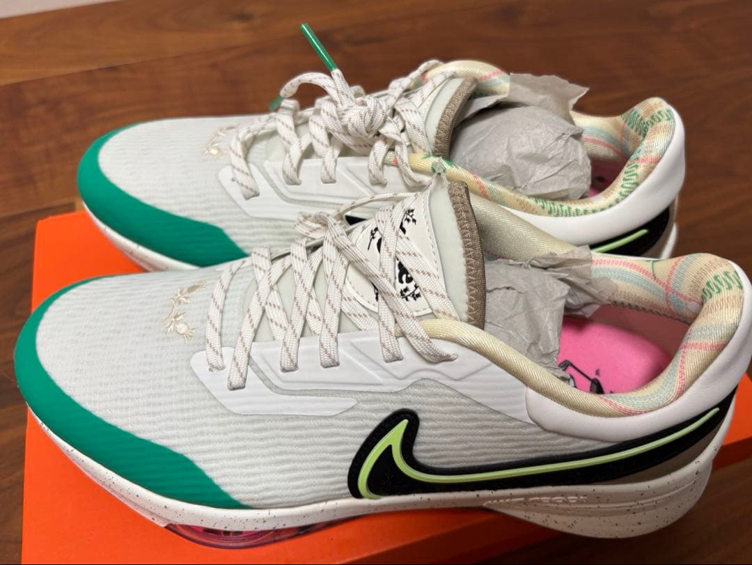 シューズ(男性用) Nike Air Zoom Infinity Tour NEXT% NRG