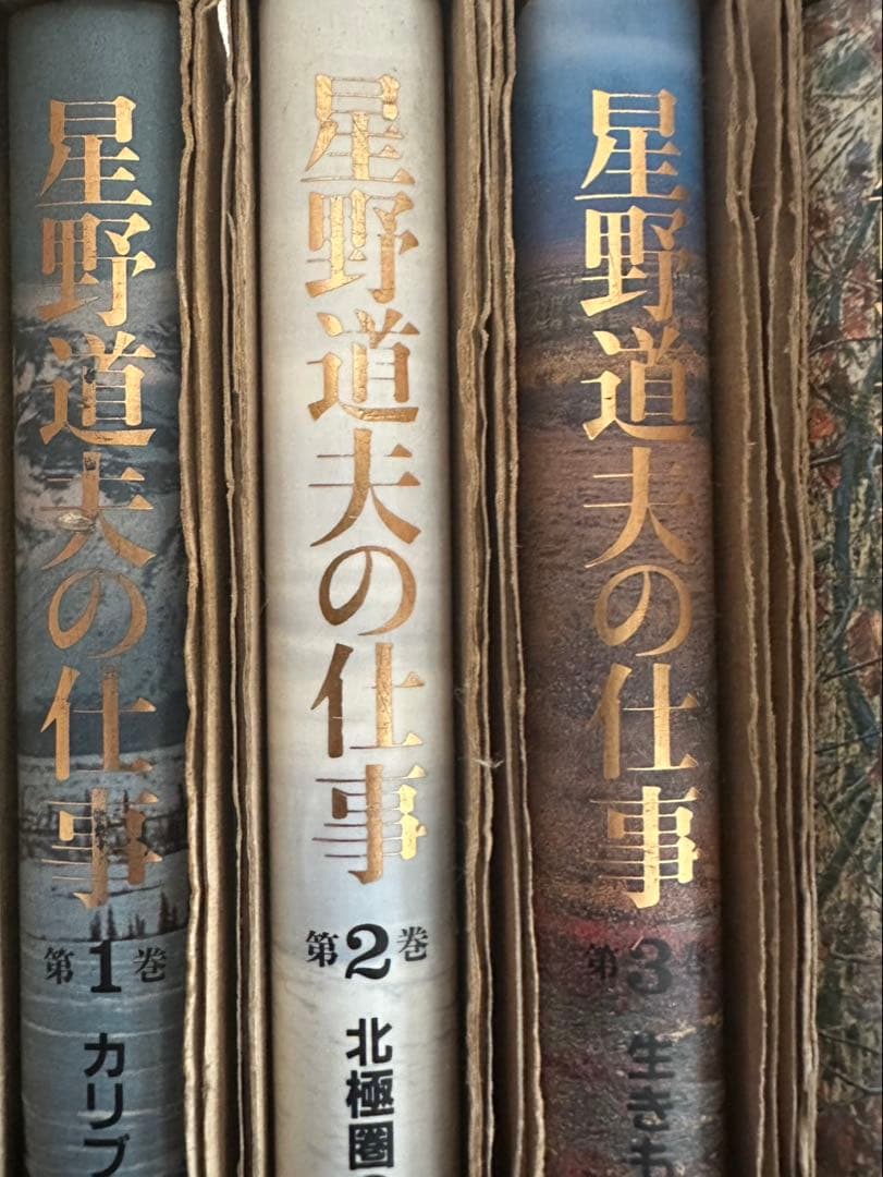 星野道夫の仕事 全4巻セット