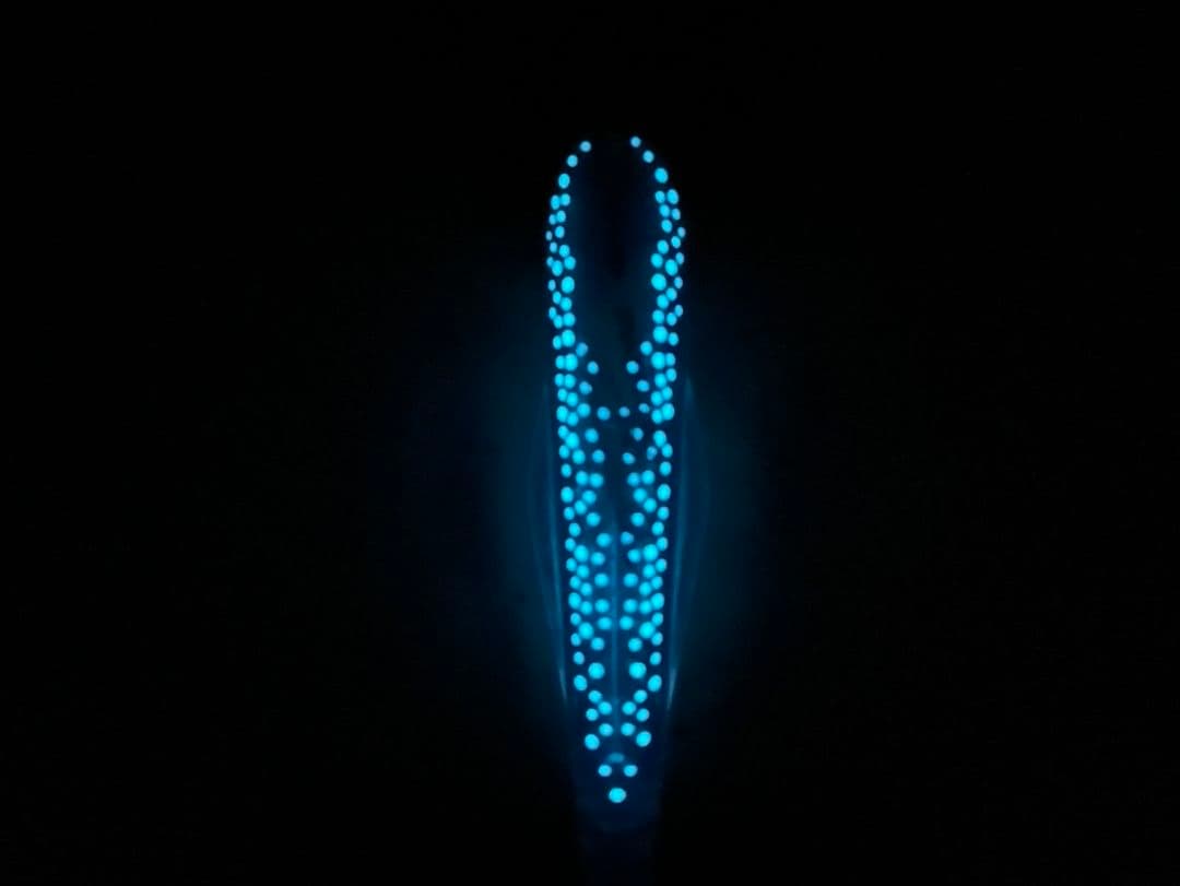 タルブリッド×2本 タルスピード×2本 おまけ付き