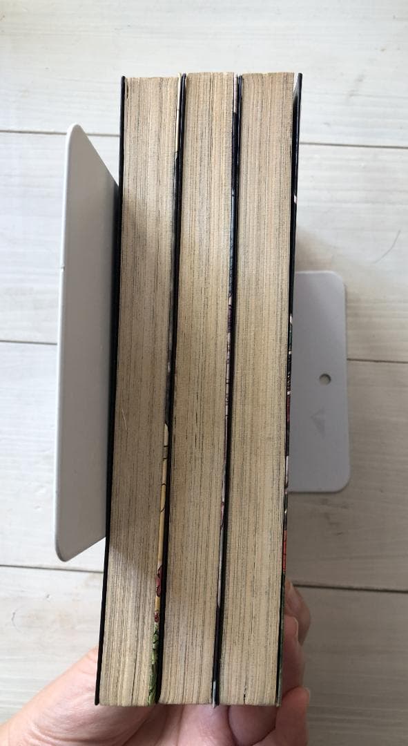 いばら美喜・悪魔の招待状（全3巻）立風書房レモンコミックス