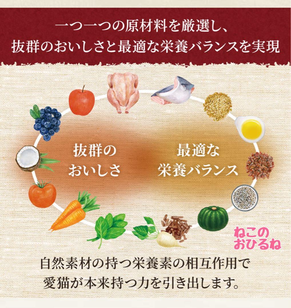 ニュートロ　シュプレモ　成猫用（チキン&サーモン）3kgパック×４袋