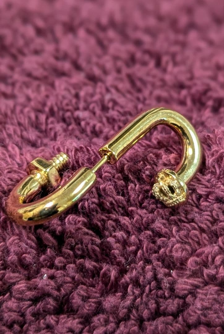 未使用JUSTIN DAVIS Hermanピアス（フープタイプ）