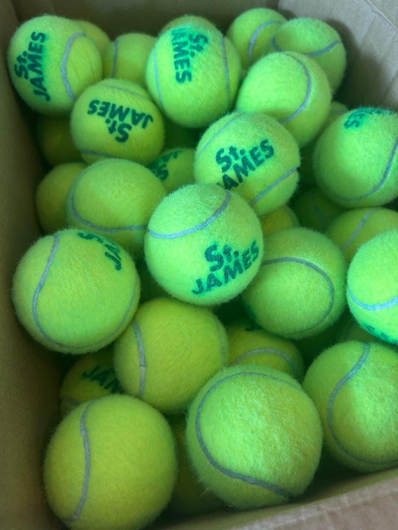 1試合だけ使用したテニスボール100球
