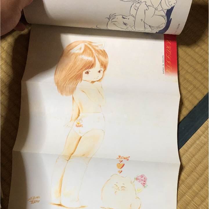 アニメージュ増刊アップルパイ 美少女まんが大全集　吾妻ひでお