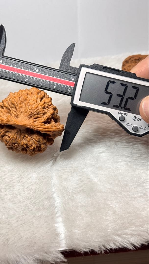 极品矮桩官帽53