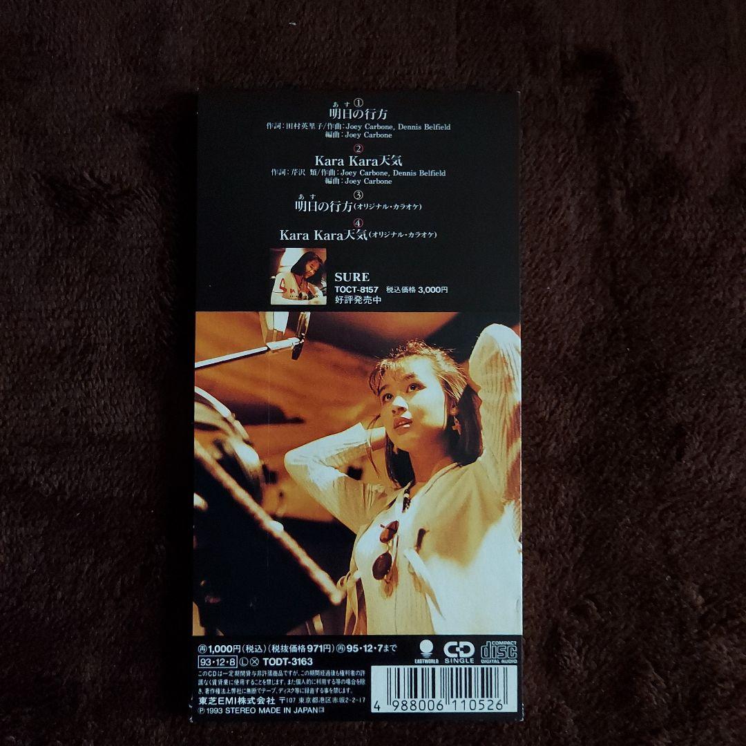 田村英里子/明日(あす)の行方