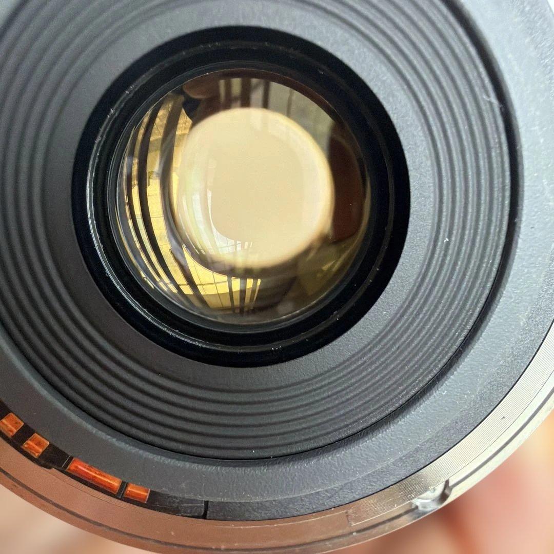 Canon EF-S 10-22mm f/3.5-4.5 ズームレンズ