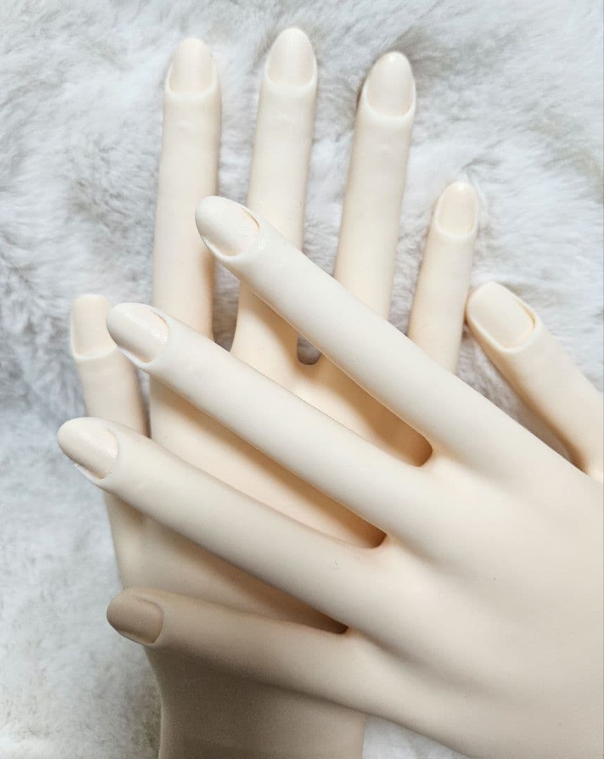 認定モデルハンド 認定チップ