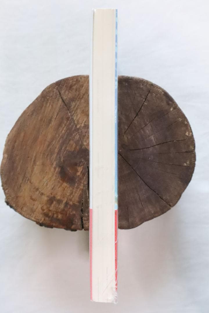 文庫本 アルトネリコ2 世界に響く少女たちの創造詩 富松元気著