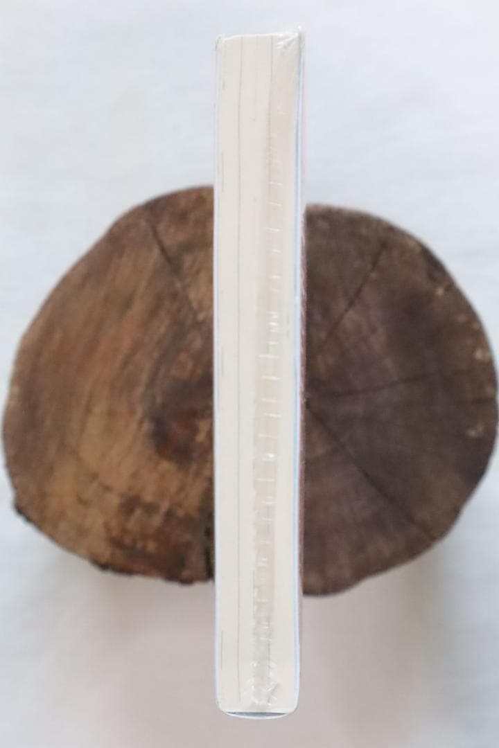 文庫本 アルトネリコ2 世界に響く少女たちの創造詩 富松元気著