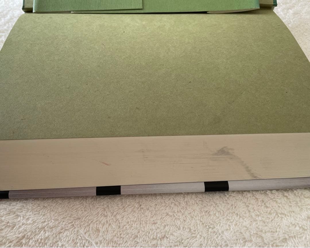 ぽんさま用　アヴィセンナ『医学典範』日本語訳