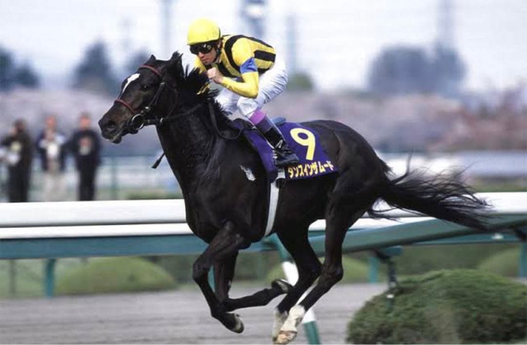 ダンスインザムード現地的中単勝馬券