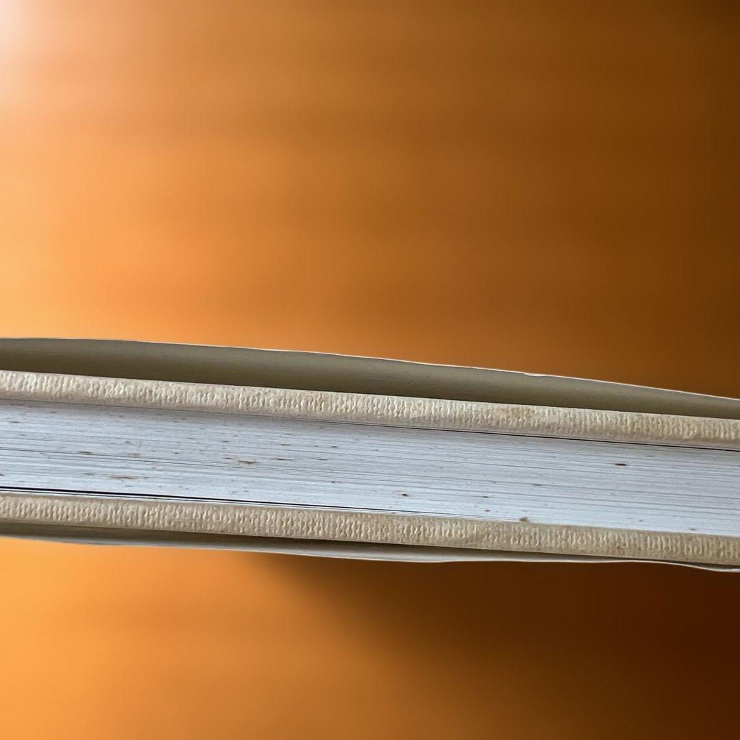 洋書 Irina Ionesco Les Immortelles