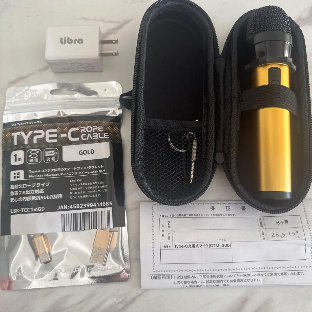 【メーカー保証期間内】ペンタトニック GTM-300 ワイヤレスマイク