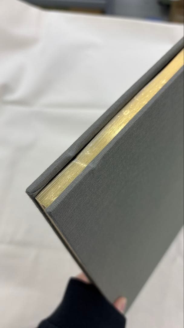 洋書 William Eggleston Polaroid SX-70