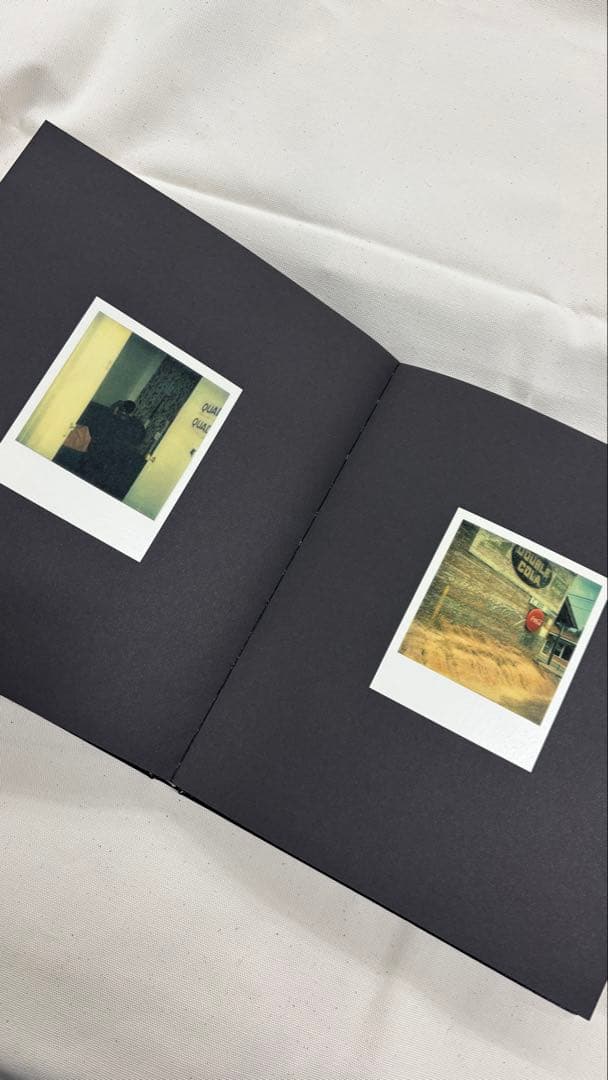 洋書 William Eggleston Polaroid SX-70