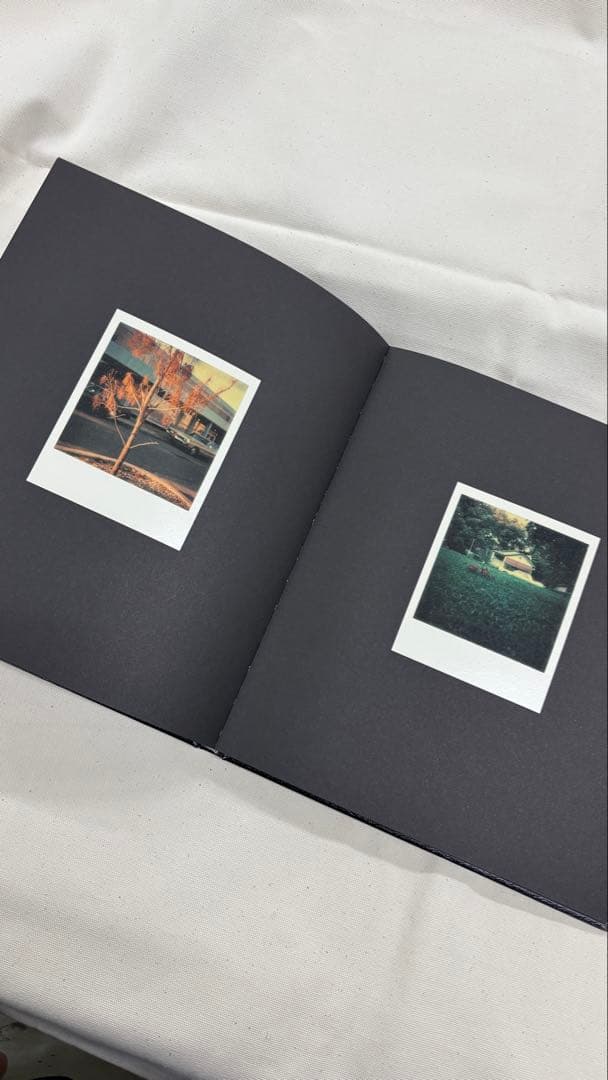 洋書 William Eggleston Polaroid SX-70