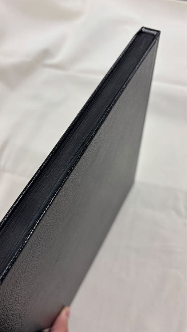 洋書 William Eggleston Polaroid SX-70