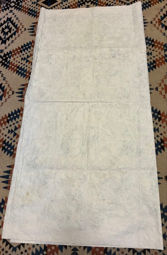 ULTRAHEAVY ウルトラヘビー　タイベックシート ジェリー鵜飼　使用２回