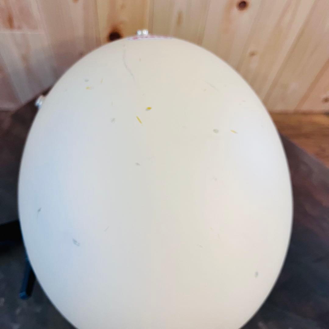 OCEAN BEETLE MTX 袋＆シールド付き ベージュペイント