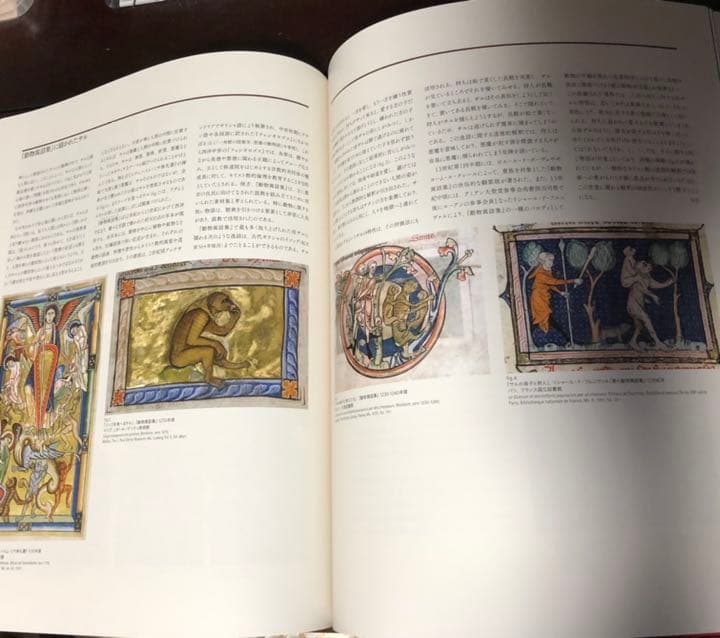 能登地震寄付　フランス国立クリュニー中世美術館所蔵 貴婦人と一角獣展 公式図録