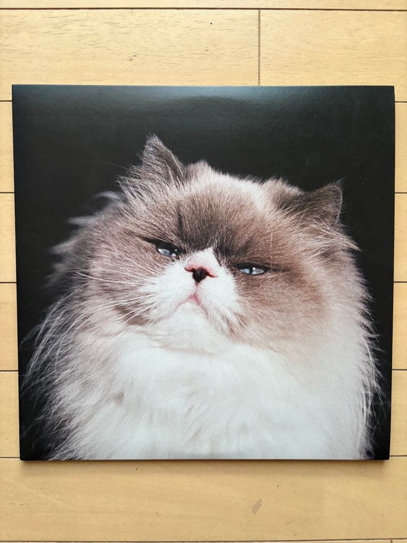 受注生産限定盤　レコード カネコアヤノ『燦々』LP（重量盤）