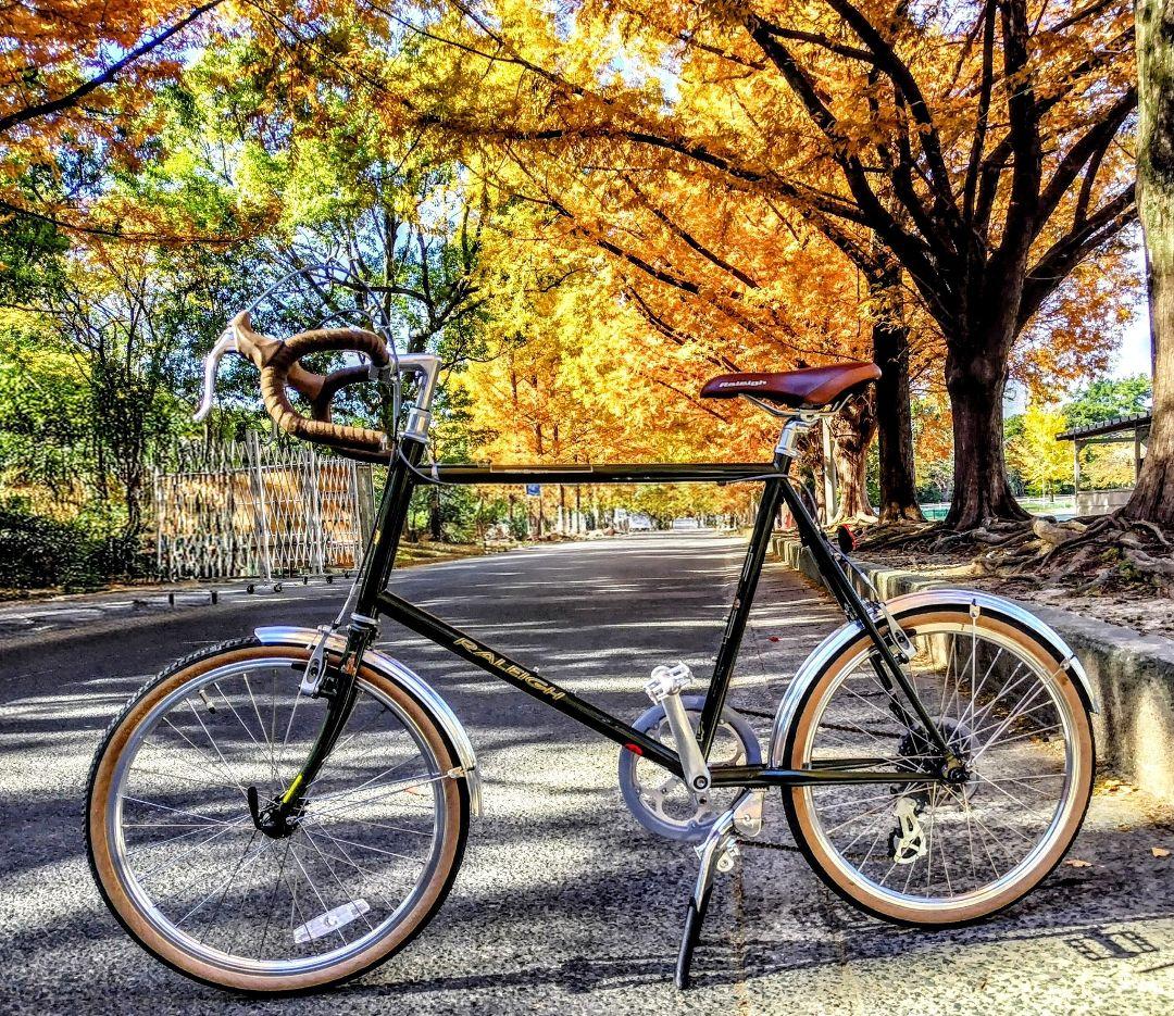 RALEIGH ラレー RSS RSW SPORT RSWカスタム