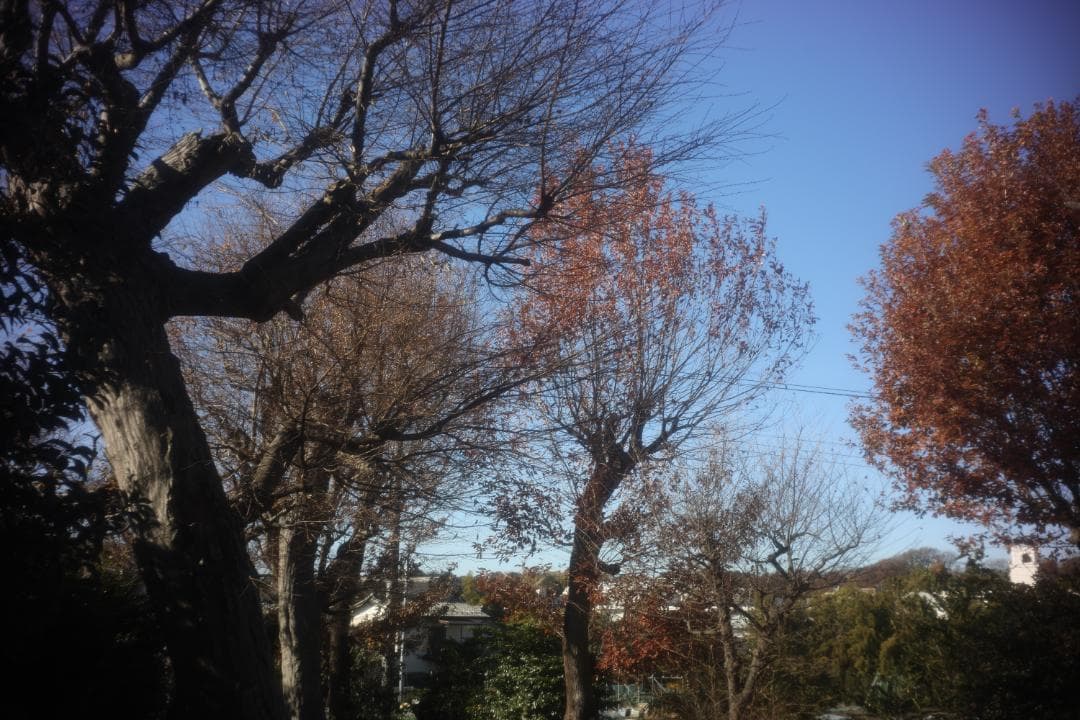 レンズ(単焦点) canon serener 35mm f3.5