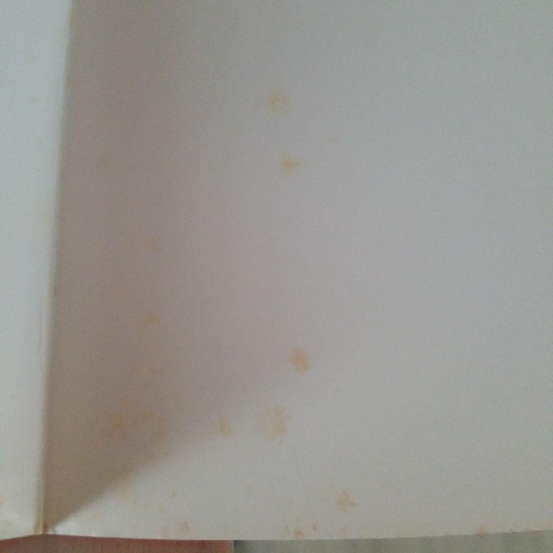 中森明菜エッセイwithフォト